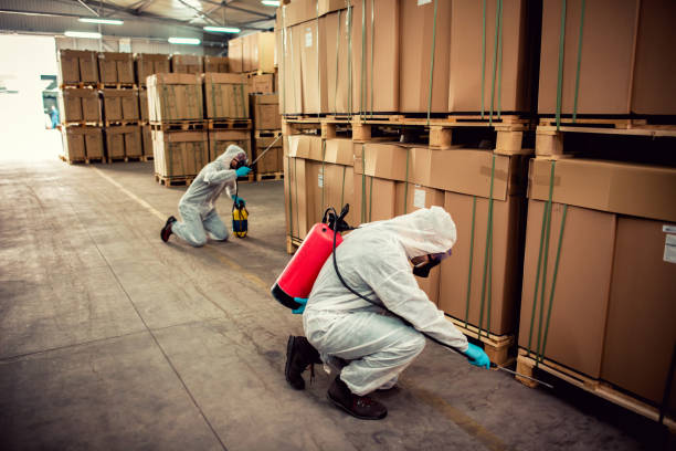 Best Wasp Removal Services  in Moreland, ID