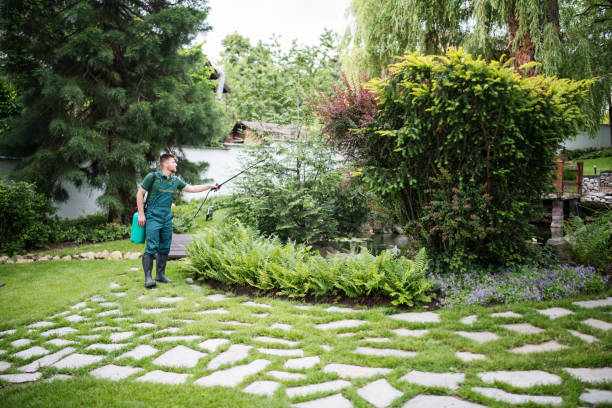 Best Affordable Pest Control Services  in Moreland, ID
