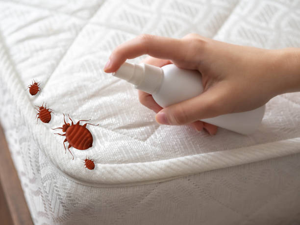 Pest Prevention Services in Moreland, ID